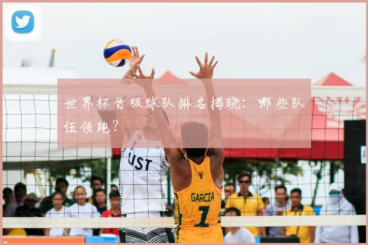 世界杯晋级球队排名揭晓:哪些队伍领跑?