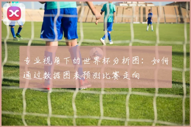 专业视角下的世界杯分析图:如何通过数据图表预测比赛走向
