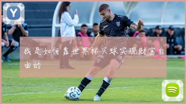 我是如何靠世界杯买球实现财富自由的